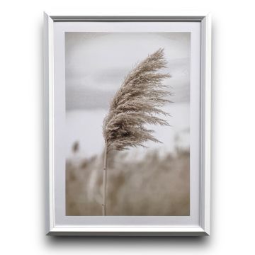 Pampas Grass Beyaz Çerçeveli Tablo Duvar Dekorasyonu Minimalizm Seven Asi Ruhlar için