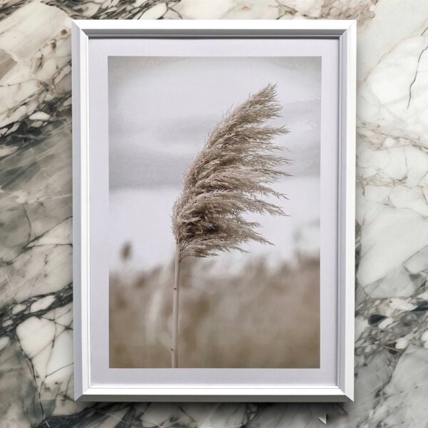 Pampas Grass Beyaz Çerçeveli Tablo Duvar Dekorasyonu Minimalizm Seven Asi Ruhlar için
