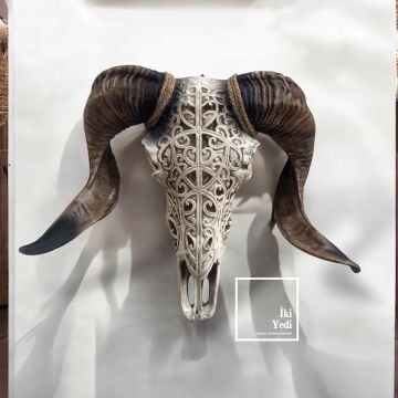 Dosiro 77-1 Koç Kafası Duvar Heykeli Maskülen Gotik Dekoratif Obje Ev Ofis Hediyesi Aksesuar