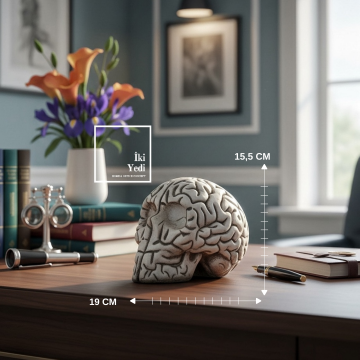 Qiao Beyin Formlu Dekoratif Masaüstü Obje Kurukafa Modern Ofis ve Ev Dekoru, Düşünce Temalı Tasarım